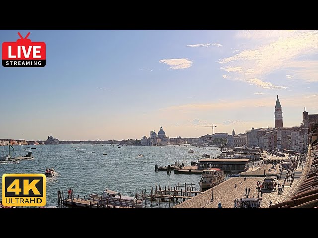 🔴 4K Live Webcam Venice - St. Mark's Basin in Live Streaming from Tribute to Music Venice