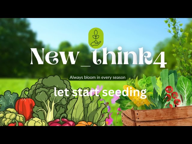 Gardening #youtube videos 2025#seeding#all seeds one tray #just for 🤩#gardeningtipstamil YouTubevide