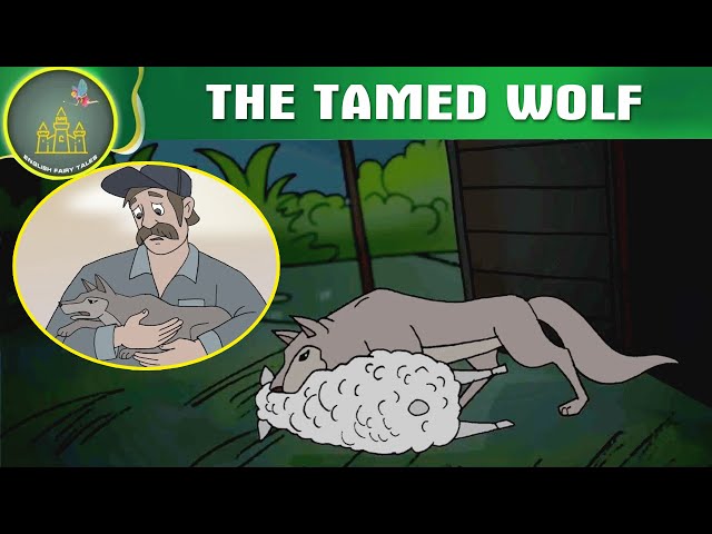 THE TAMED WOLF | FAIRY TALES ANIMATION IN ENGLISH | ENGLISH FAIRY TALES