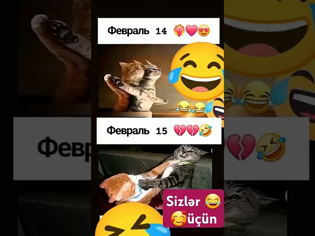 #14fevral😍15fevral🤣#sevgililergünü #iloveyou #bayram #sevgi#qadin #gülmekgaranti #keşfet #shorts#fyp