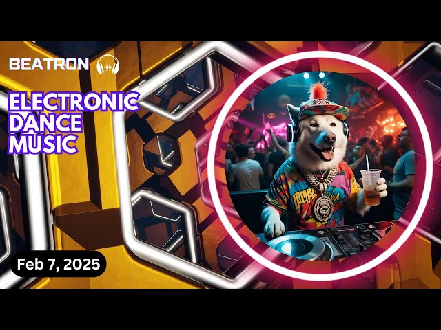 EDM Vibes, February 2025 - BEATRON