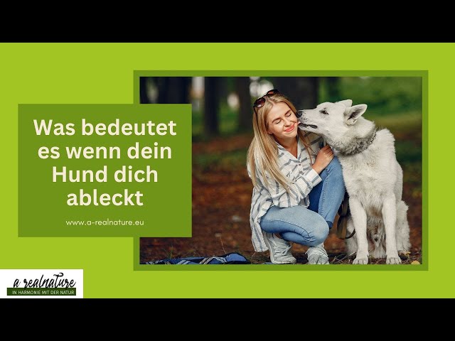 Was bedeutet es wenn dein Hund dich ableckt