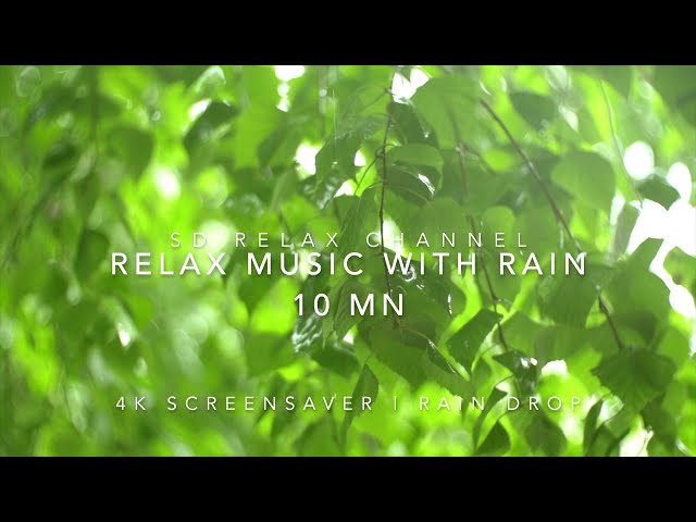 Relaxing Piano Music with Rain Drop & Nature | 4K Screensaver