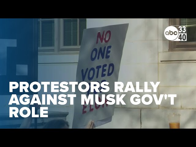 'Unelected billionaire:' Protestors rally against Musk's role in federal government