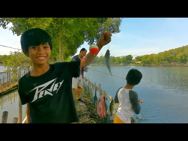 Mancing Lohan !!  Melatih Artis Anyar