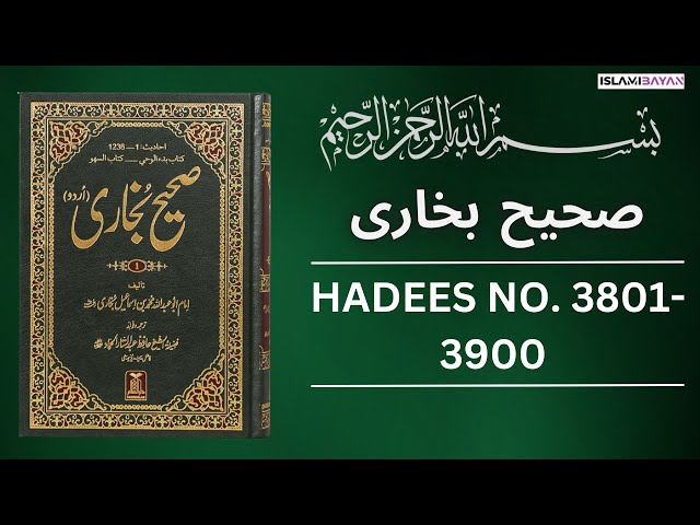 Sahih Bukhari Hadees No 3800 To 3900 | Hadees in Urdu | Sahih Bukhari Hadees