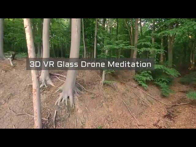 3D VR Forrest VR-Glass #Dronemediation Relaxation 5 Minutes in the air to calm down in the trees