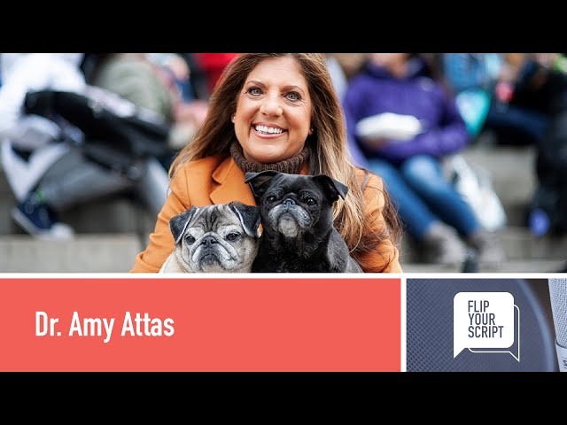 From Traditional Veterinarian to Celebrity Clientele with Dr. Amy Attas