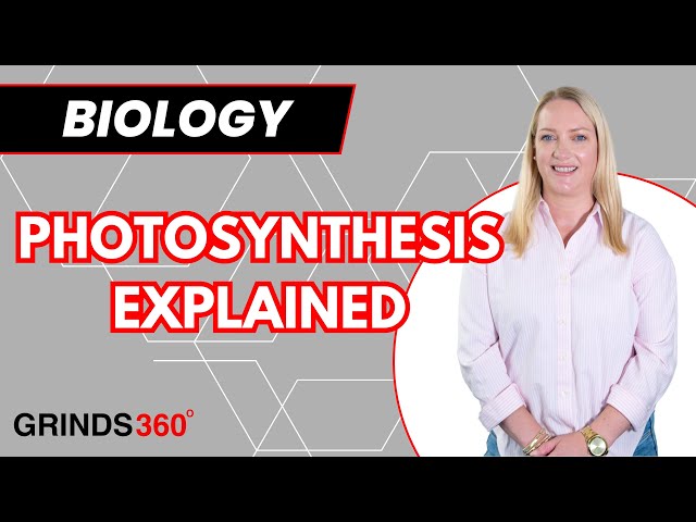 Photosynthesis | Leaving Cert Biology