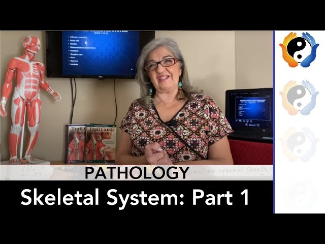 Skeletal System Pathologies: Part 1