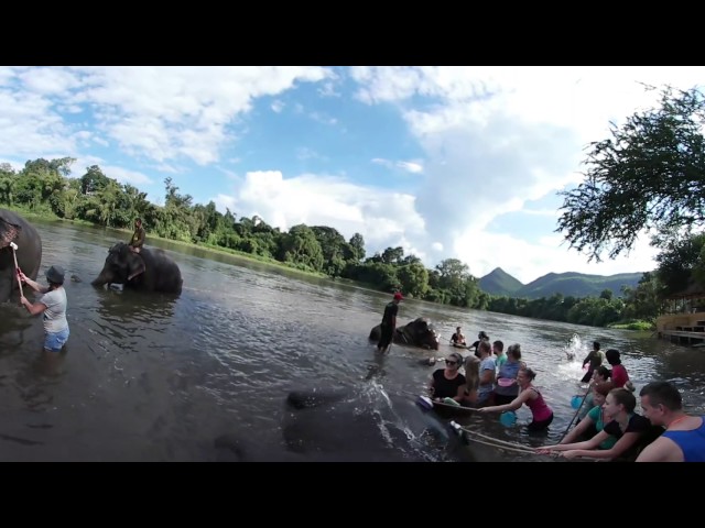 Bathing with the elephants in Kanchanaburi, Thailand