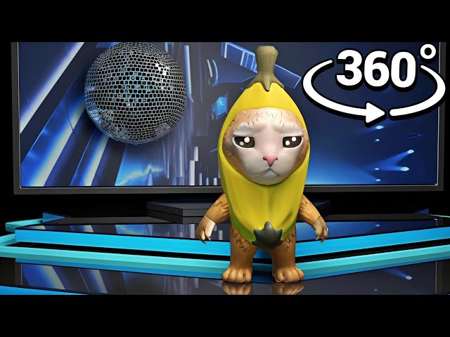 360º BANANA CAT in a Dance Challenge - VR Video