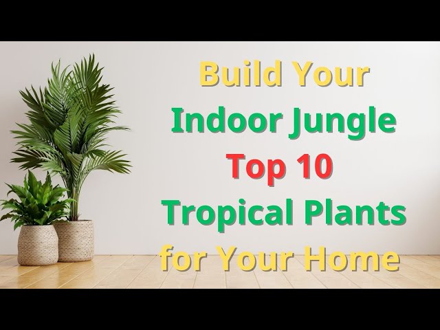 🌿 Build Your Indoor Jungle | Top 10 Tropical Plants for Your Home 🌿