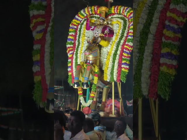 Sri Lakshmi Venkateswara Swamy brahmotsavam 2025  #karimnagar #festival