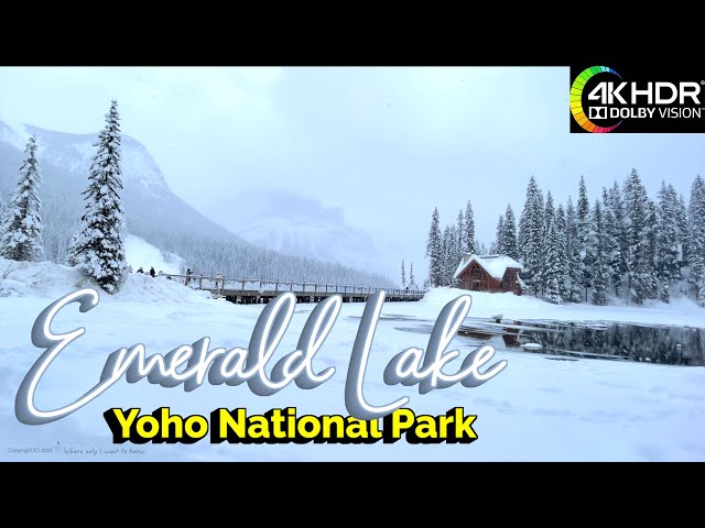 [4K HDR] Canadian Rockies - Emerald Lake Winter Walk🇨🇦 Yoho National Park, BC, CANADA, Winter Travel