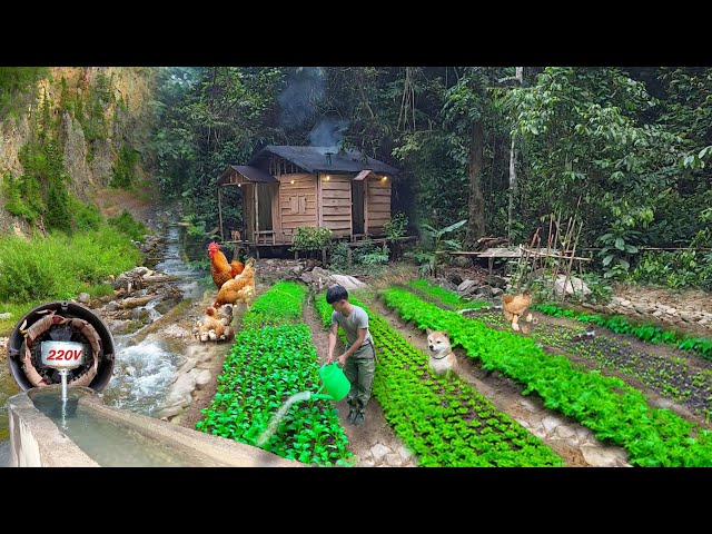 2 Year Living Off Grid in Forest. Grow papaya yourself, Gardening, smoked pork eaten all year round