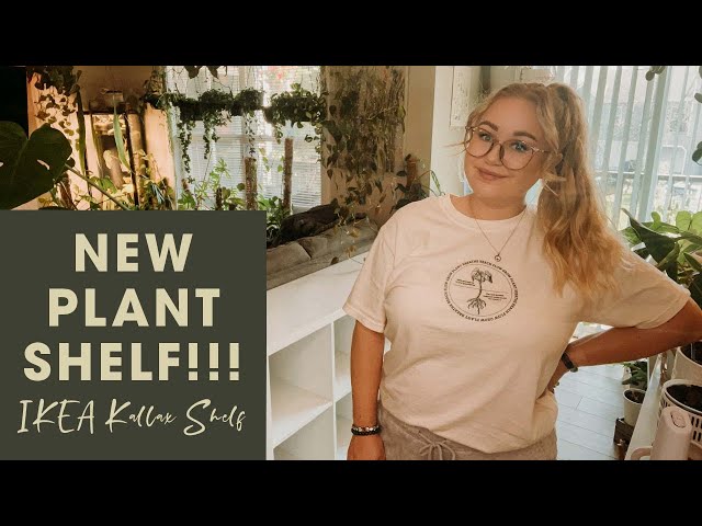 New Plant Shelf!!!!! | Set Up My New Houseplant Shelf With Me!