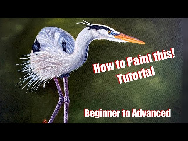 How To Paint A Bird - Painting Tutorial Time Lapse