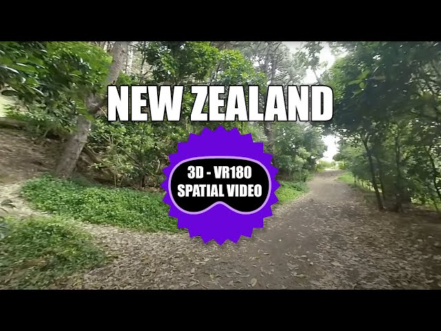 New Zealand Taupō to Wellington Drive & Walk - Part 9 - VR180 - Spatial Video