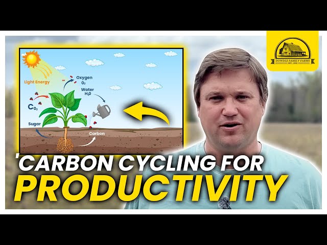 Managing the Carbon Cycle for Productivity in Regenerative Farming