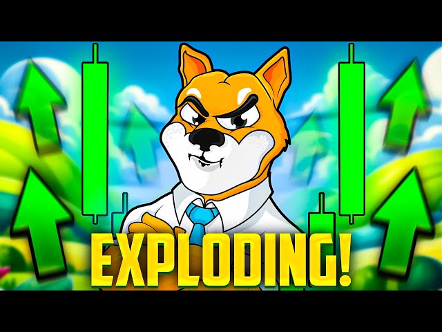 🚀 Shiba Inu: The Cryptocurrency Set to Rocket Skyward in Explosive Breakout! Don't Miss Out!!