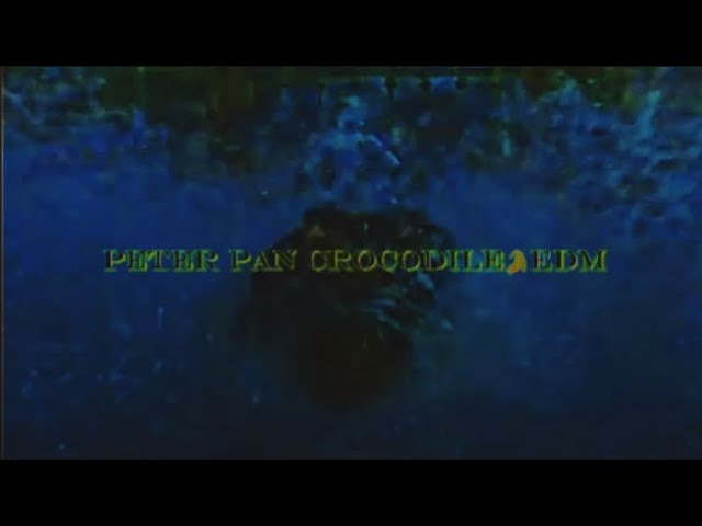 Peter Pan Ticking⏰Crocodile🐊EDM Visualizer (⚠️FLASH WARNING⚠️)