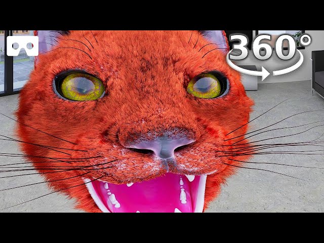 360° VR - Large Cat Eats You