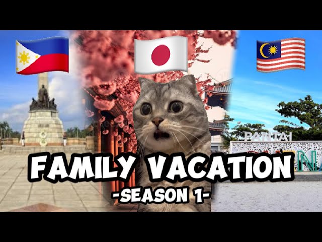 CAT MEMES: THE ULTIMATE FAMILY VACATION FULL COMPILATION | SEASON 1|