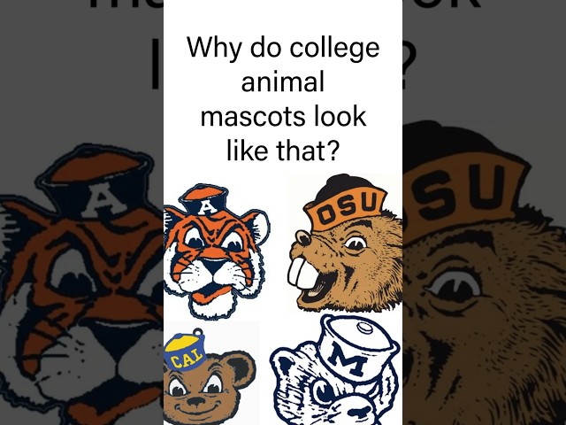 Why do college animal mascots look like that? #cfb