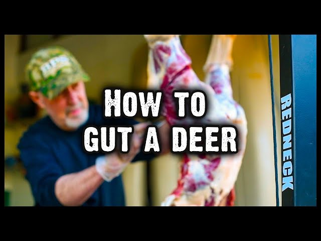 How to Gut A Deer: Step-by-Step Guide (#581)