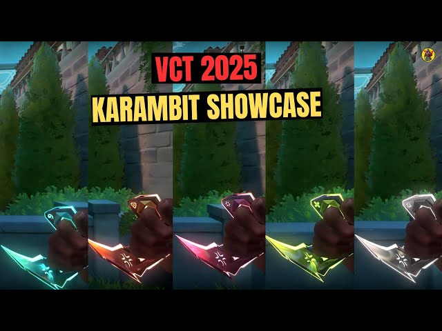 VCT 2025 Karambit Showcase | VCT 2025 Knife