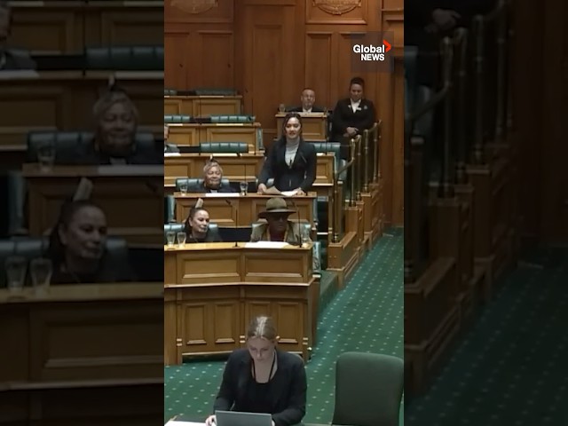 New Zealand MPs disrupt Parliament, stage haka in protest of controversial Indigenous bill