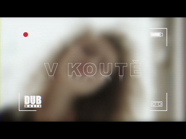 D.U.Bmusic - V Koutě (Official Audio)