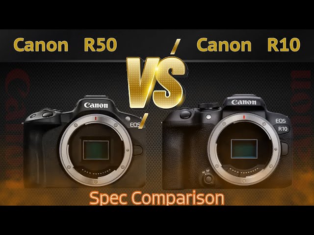 Canon R50 VS Canon R10 Comparison Video in 2024(Spec Comparison)