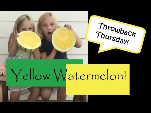 What Does a Yellow Watermelon Look and Taste Like?