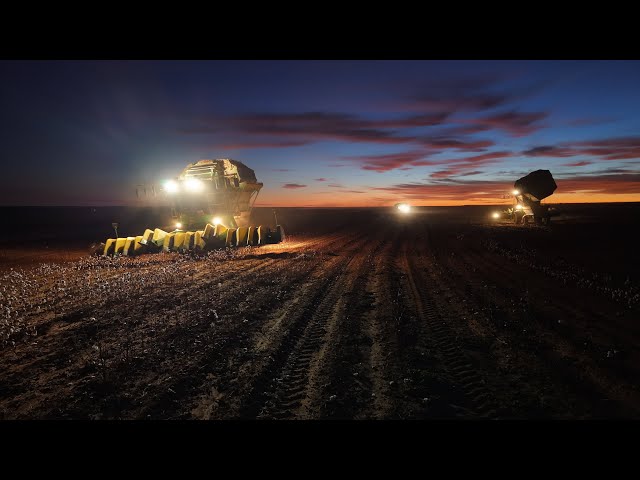 Wade “Pud” & Chris Pepper making the best out of a rough Cotton Harvest here in the Texas Panhandle