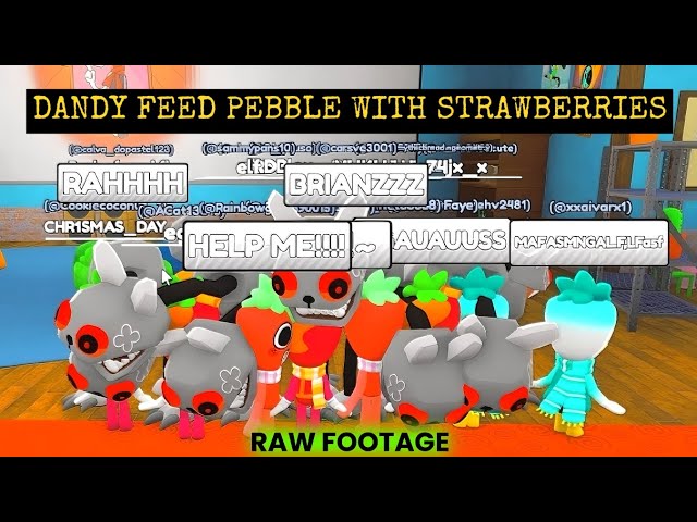 DANDY FEED PEBBLE WITH STRAWBERRIES