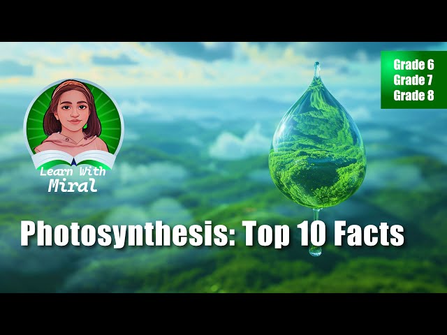 Photosynthesis in Plants Short Video | Interesting facts about photosynthesis #photosynthesis