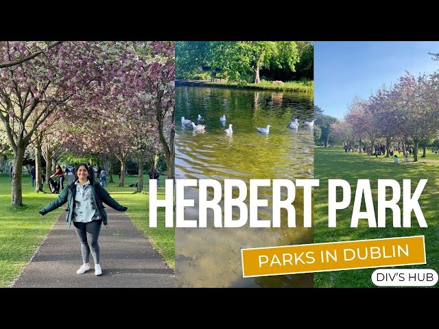 Spring in Dublin | Herbert Park | Parks in Ireland | Indian in Ireland | Indian Girl | Div’s Hub