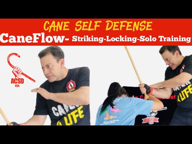 Cane Self Defense: CaneFlow Striking, Locking, and Solo Training!