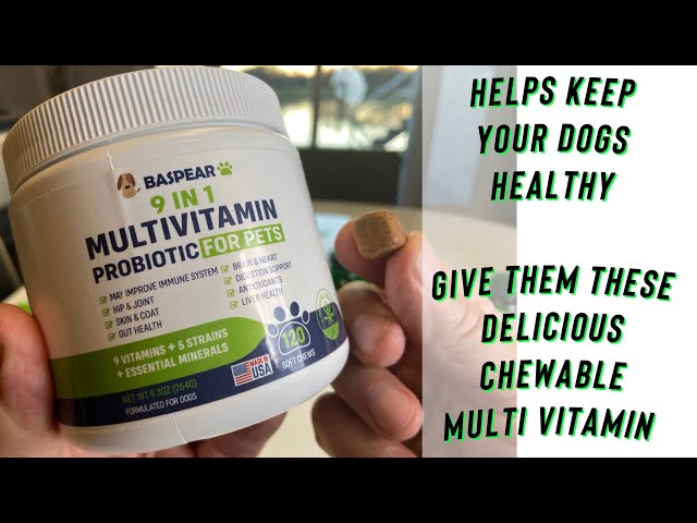 Love Your Dog? Give Them A Once-A-Day Multivitamin When You Take Yours! Link Below! #baspearvitamin