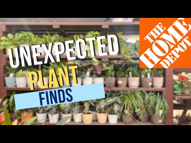 5 AMAZING Plants YOU Didn't Expect AT The HOME DEPOT!