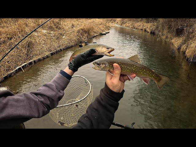 Wisconsin Trout Fishing - 2/1/2025