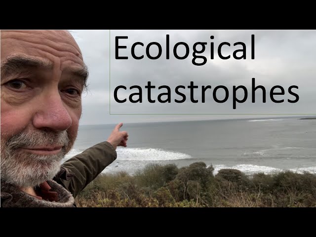 Ecological catastrophes: