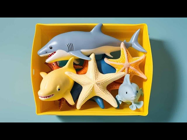 Ocean Animals Review: Shark, puffer, Starfish, Clown, Tang, Eel, Gold fish, Sea Horse, Dolphin LIVE