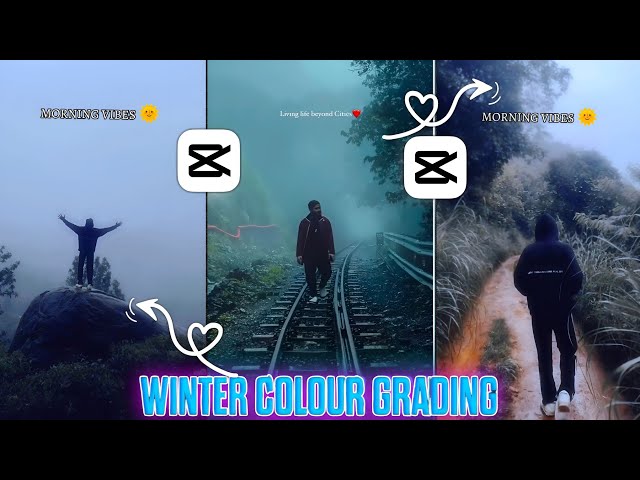 New Cinematic Winter Colour Grading In Capcut | Capcut Blue Tone Colour Grading | Capcut Tutorial