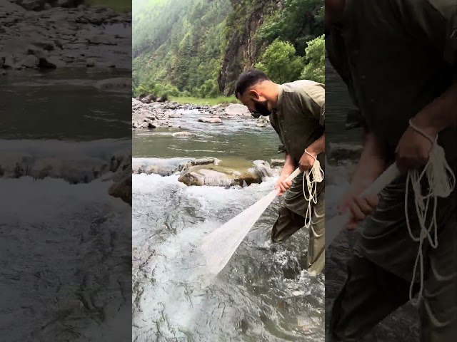 Amazing village fish catching #netfishing #streamfishing