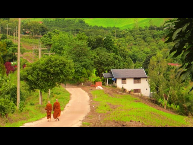 Uplifting and Interesting Stories of a Buddhist Monk | Ajahn Achalo