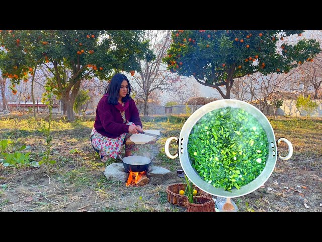 A Rare and Traditional Pasta From Hunza | Hoye lo Garma | Northern Nomadic