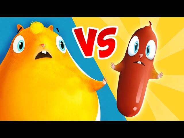 Who Is The REAL HAMSTER? | KIDS | Cartoon | Hamster | Dog | Cat | Funny Animated